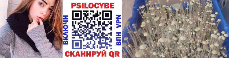 Псилоцибиновые грибы MAGIC MUSHROOMS  Гаврилов-Ям 